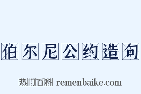 伯尔尼公约造句是什么意思的图片